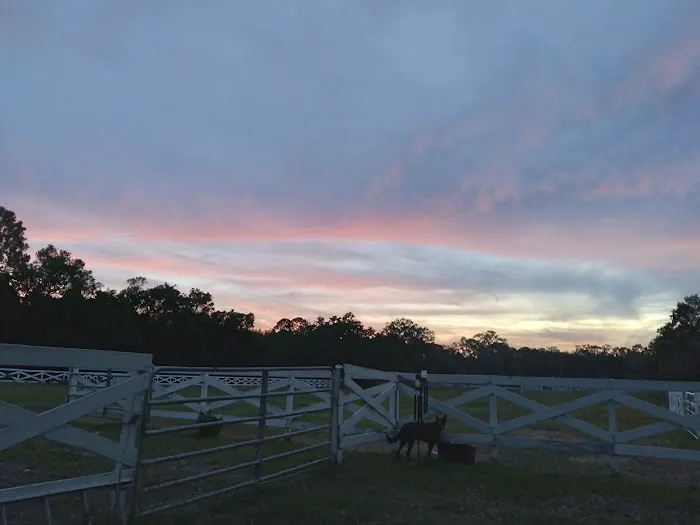 Five Flags Ranch at Pony Land and Motorhome RV Spaces Picture 4