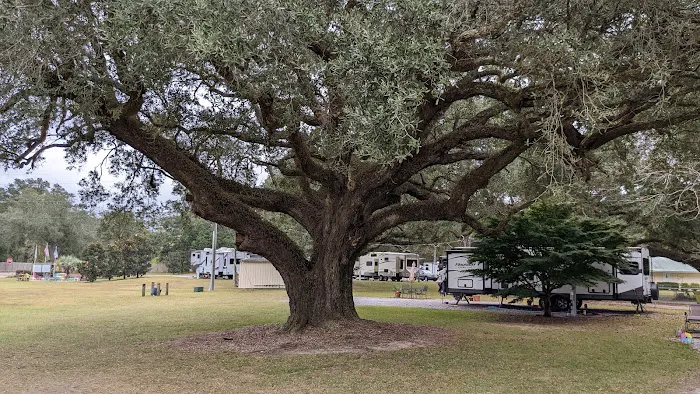 Pensacola RV Park Picture 3