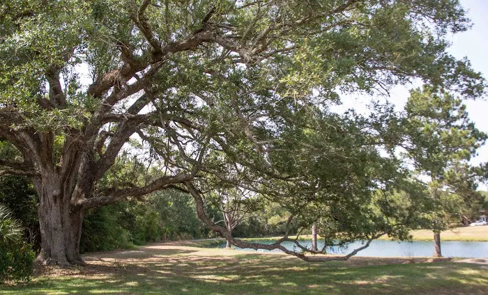 Pensacola RV Park Picture 6