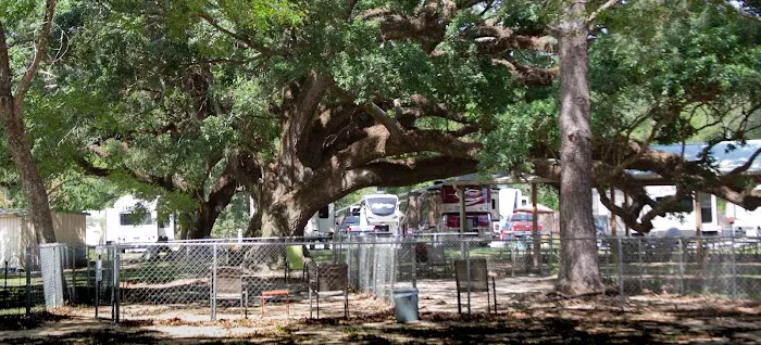 Pensacola RV Park Picture 2