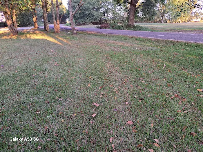 Royal Oaks RV sites Picture 5