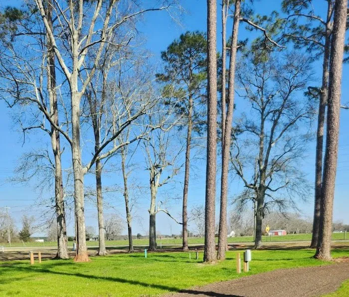 Wayside RV Park Picture 3