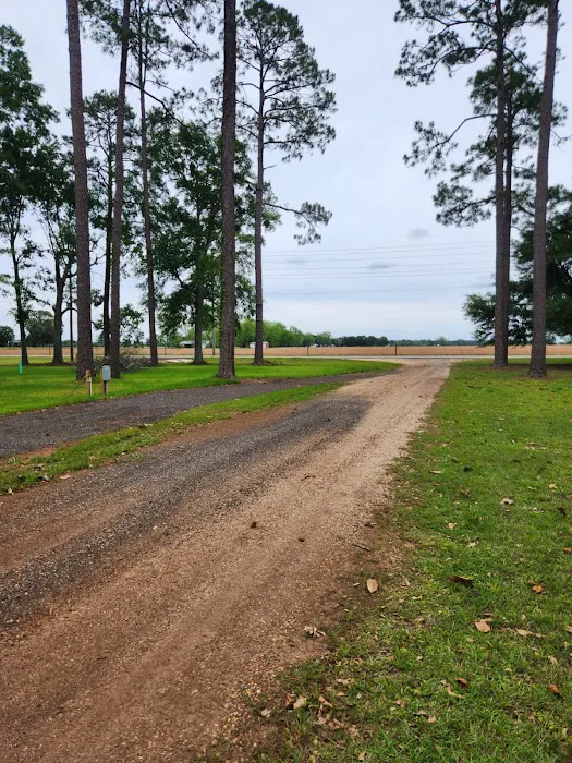 Wayside RV Park Picture 5