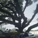 Dubuisson Trailer Park