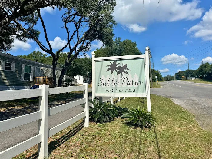 Sabal Palm Picture 3