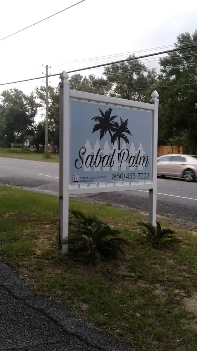 Sabal Palm Picture 1