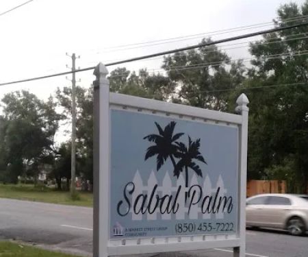 Sabal Palm