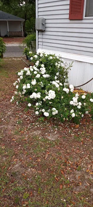 Heritage Oaks Community Picture 4