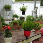 Heritage Oaks Community