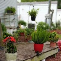 Heritage Oaks Community ico