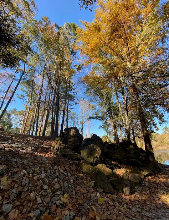 Rocky Bend Flint River Retreat Picture 5