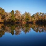 Rocky Bend Flint River Retreat