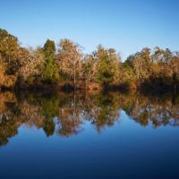 Rocky Bend Flint River Retreat ico