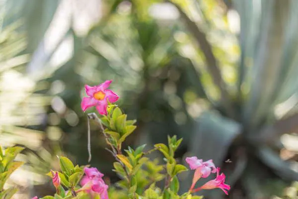 Admiral Mobile Home Park Picture 5