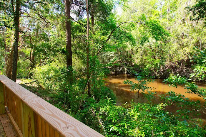 The Retreat RV & Campground on Styx River Picture 8