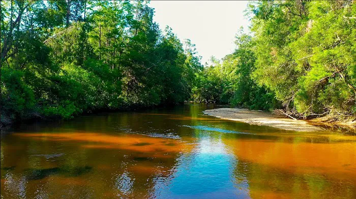 The Retreat RV & Campground on Styx River Picture 1