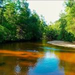 The Retreat RV & Campground on Styx River