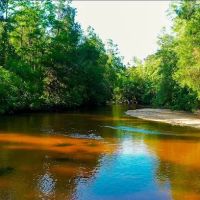 The Retreat RV & Campground on Styx River ico