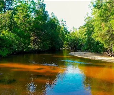 The Retreat RV & Campground on Styx River