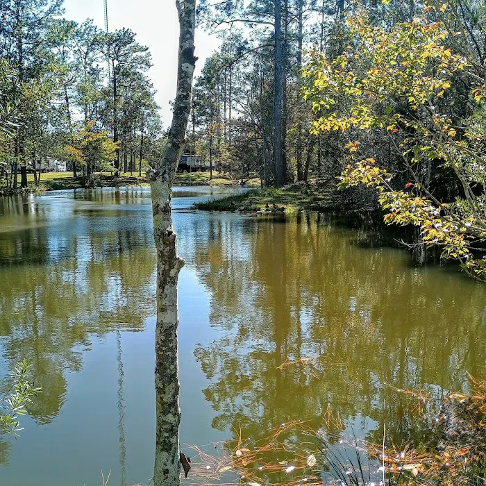 Wilderness RV Park Picture 7