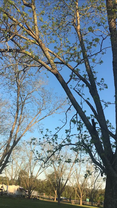 Graystone RV Park Picture 10