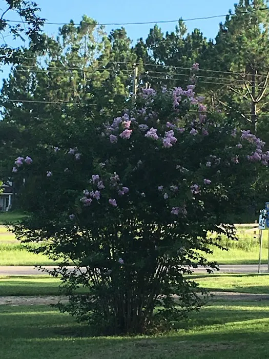 Graystone RV Park Picture 5