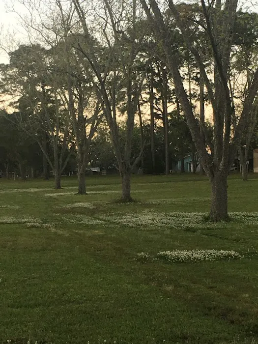 Graystone RV Park Picture 3