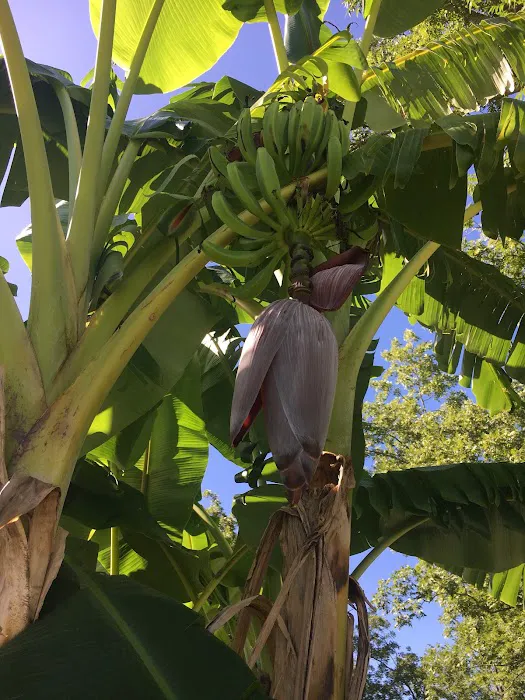 Graystone RV Park Picture 9