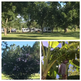 Graystone RV Park Picture 1