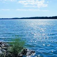 Tensaw River Park ico