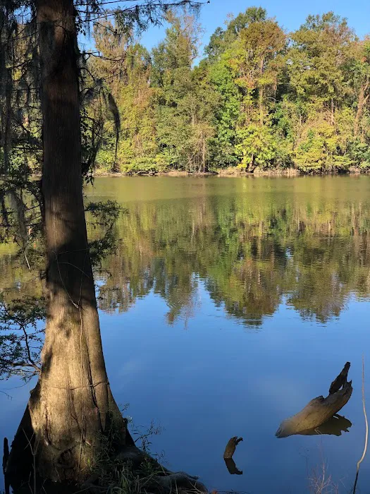 Matthews Landing Picture 2