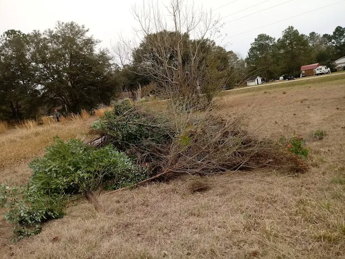 Almost A Park Picture 5