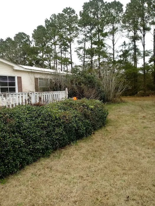 Almost A Park Picture 4