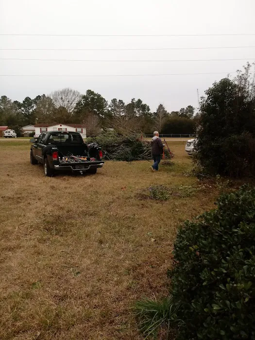 Almost A Park Picture 3