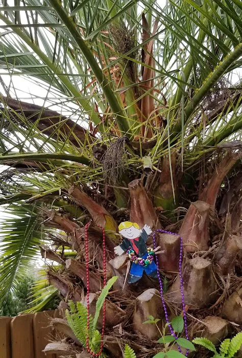 Wolf Bay Plantations Picture 6