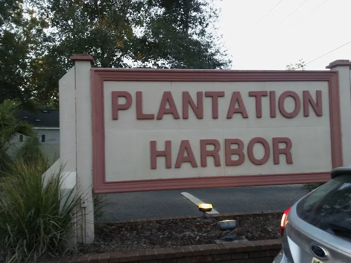 Wolf Bay Plantations Picture 5