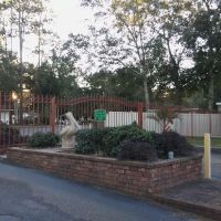 Wolf Bay Plantations ico