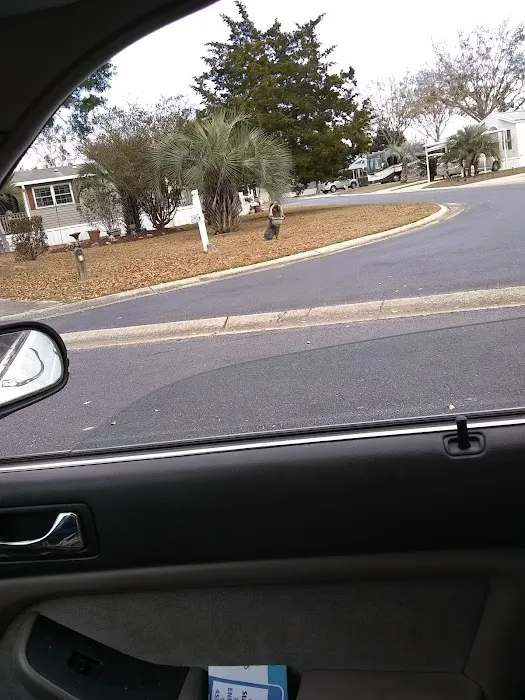 Wolf Bay Plantations Picture 10