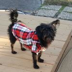 Plantation Harbor RV Resort