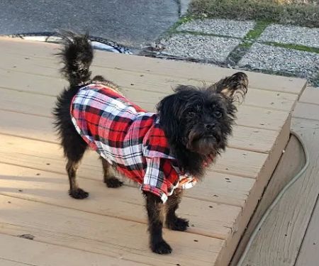 Plantation Harbor RV Resort