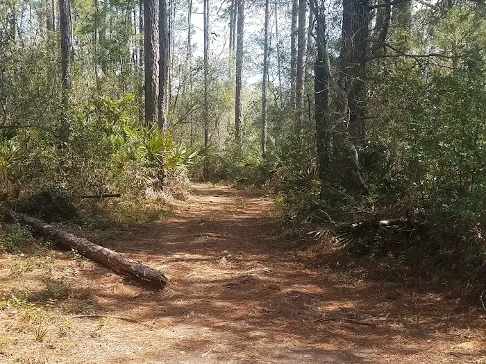 Plantation Harbor RV Resort Picture 9