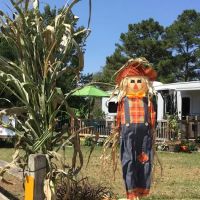 Fox Creek RV Resort ico