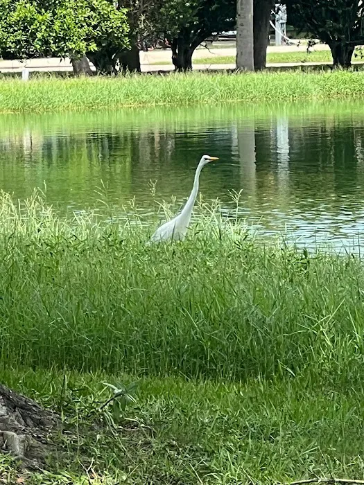 Unhitched RV | Foley Picture 4