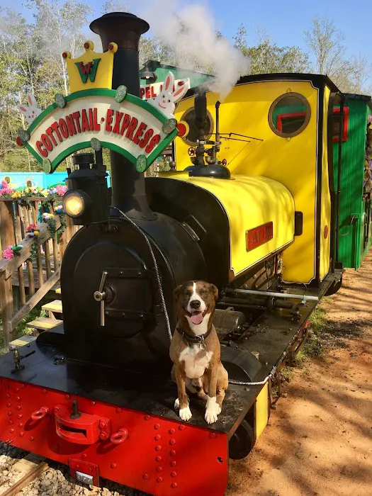 Wales West Light Railway & RV Resort Picture 6