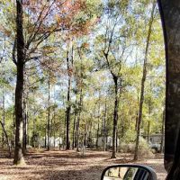 Poll Bayou RV Park ico