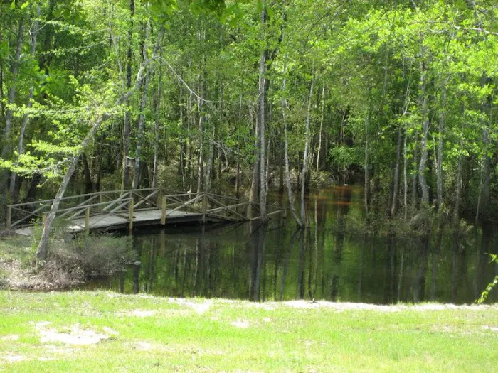 Poll Bayou RV Park Picture 7