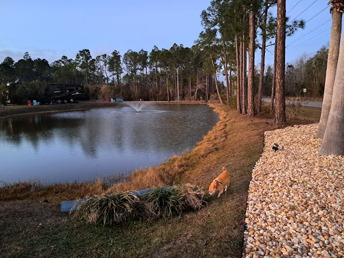 Sugar Sands RV Resort Picture 1