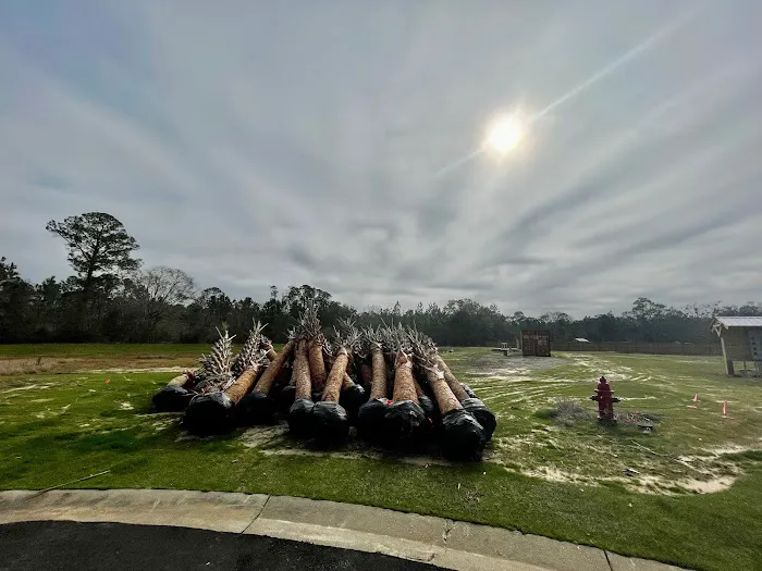 Whispering Pines East & West Picture 6