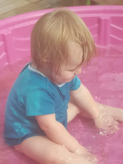 LIVE OAKS MOBILE FAMILY COMMUNITY PARK Picture 3