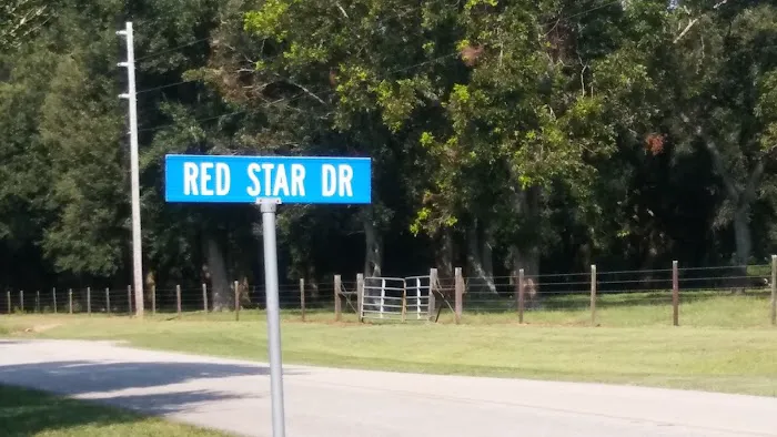 LIVE OAKS MOBILE FAMILY COMMUNITY PARK Picture 1